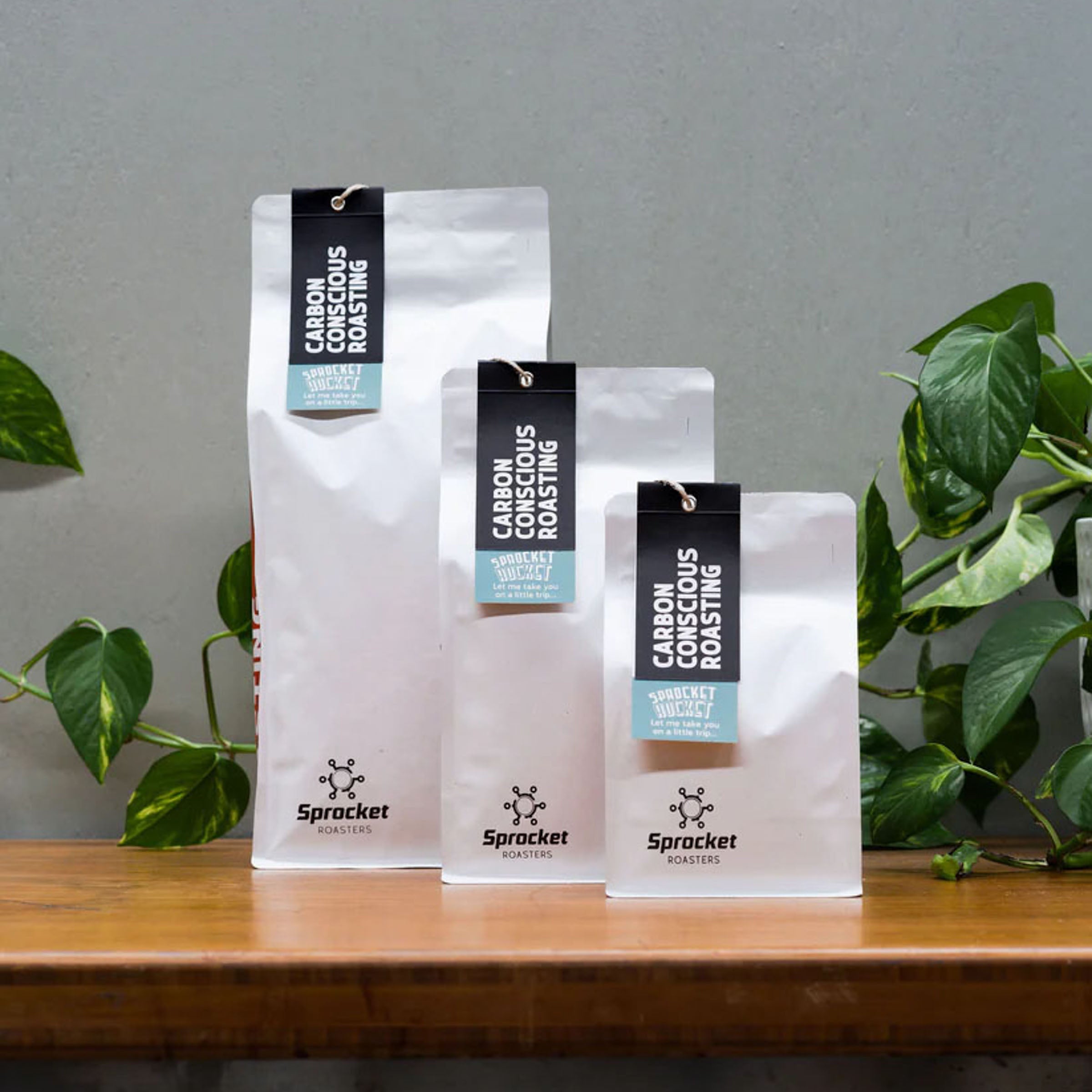 Sprocket Rocket – my daily dose of roast